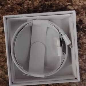 Apple Silver Earbud Headphones